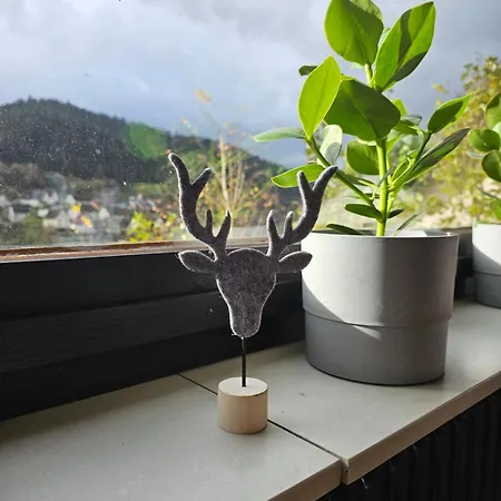 Am Lehen Apartment *