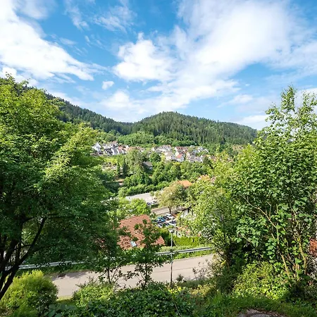 Am Lehen Διαμέρισμα Schiltach